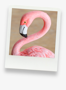 Resin Pink Flamingo Props