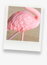 Load image into Gallery viewer, Resin Pink Flamingo Props