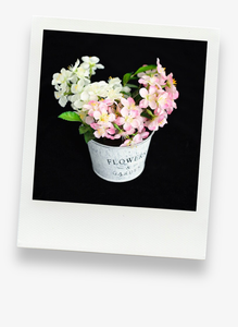 Non-reflective Light Absorbing Photography Background