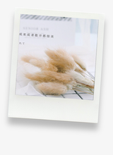 Load image into Gallery viewer, 15x Realistic Barley and Wheat Photography Props