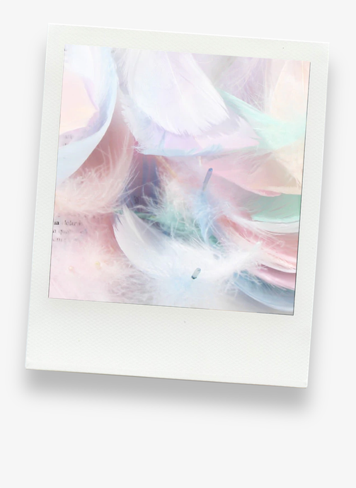 Colorful Goose Feather Props