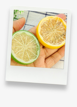 Load image into Gallery viewer, Simulation Lemon Slices &amp; Artificial Ice Cube Props