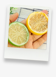 Simulation Lemon Slices & Artificial Ice Cube Props